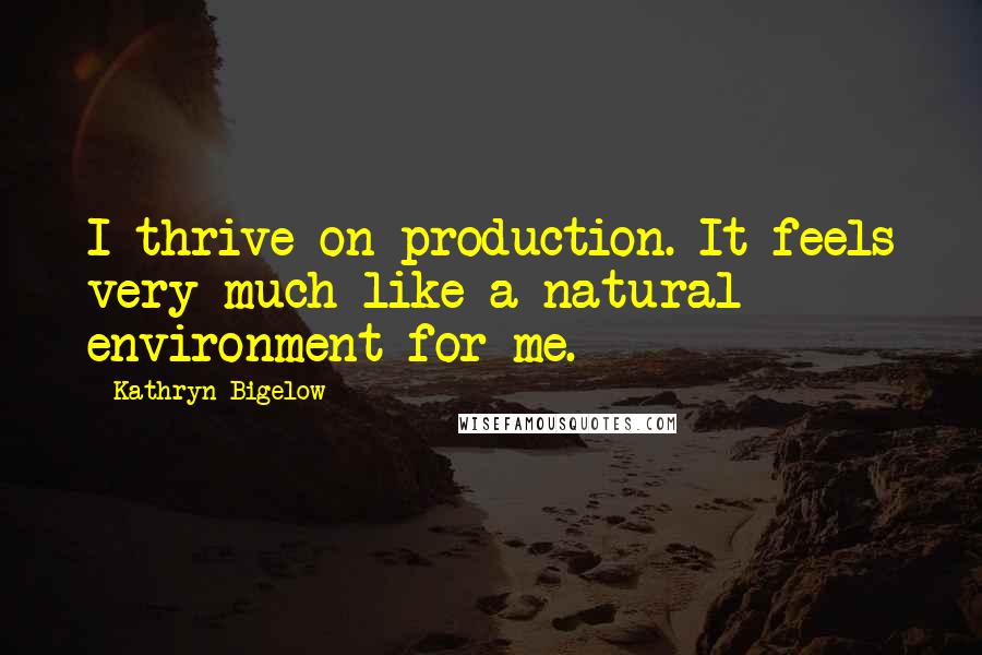 Kathryn Bigelow Quotes: I thrive on production. It feels very much like a natural environment for me.