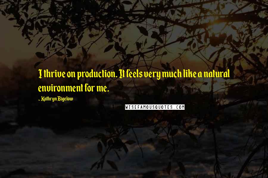 Kathryn Bigelow Quotes: I thrive on production. It feels very much like a natural environment for me.