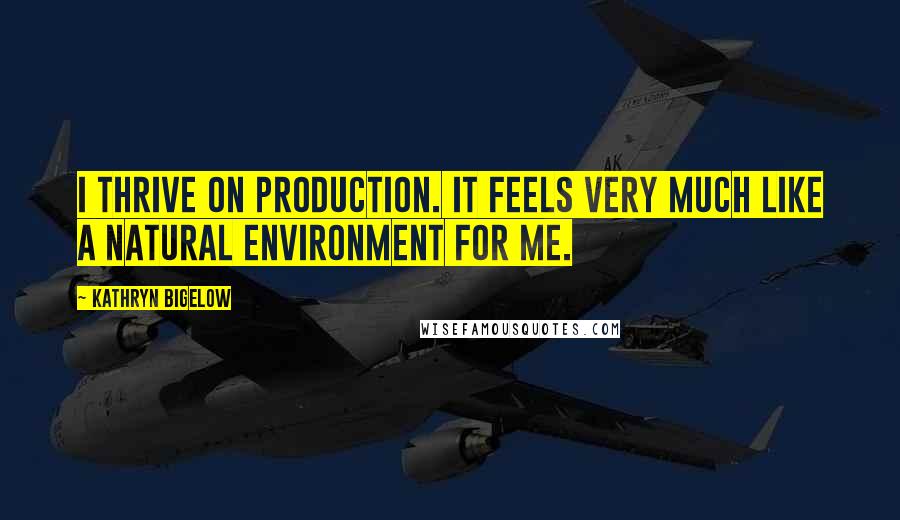 Kathryn Bigelow Quotes: I thrive on production. It feels very much like a natural environment for me.