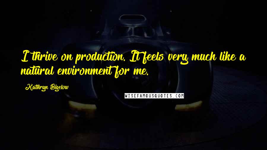 Kathryn Bigelow Quotes: I thrive on production. It feels very much like a natural environment for me.