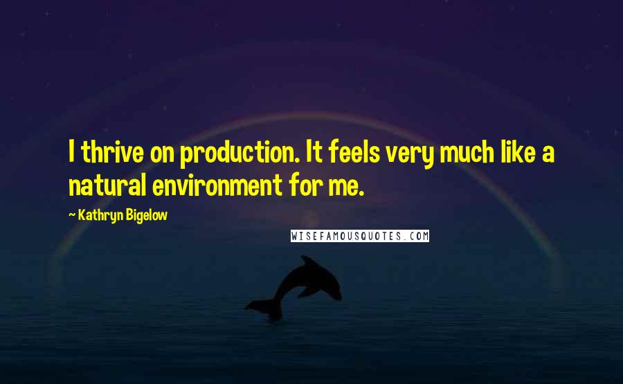 Kathryn Bigelow Quotes: I thrive on production. It feels very much like a natural environment for me.