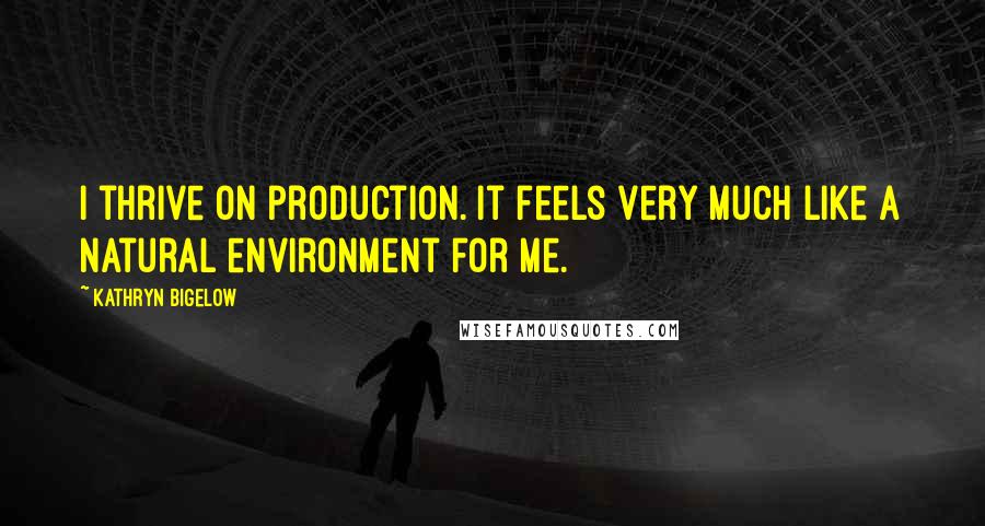 Kathryn Bigelow Quotes: I thrive on production. It feels very much like a natural environment for me.