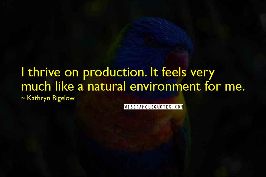 Kathryn Bigelow Quotes: I thrive on production. It feels very much like a natural environment for me.