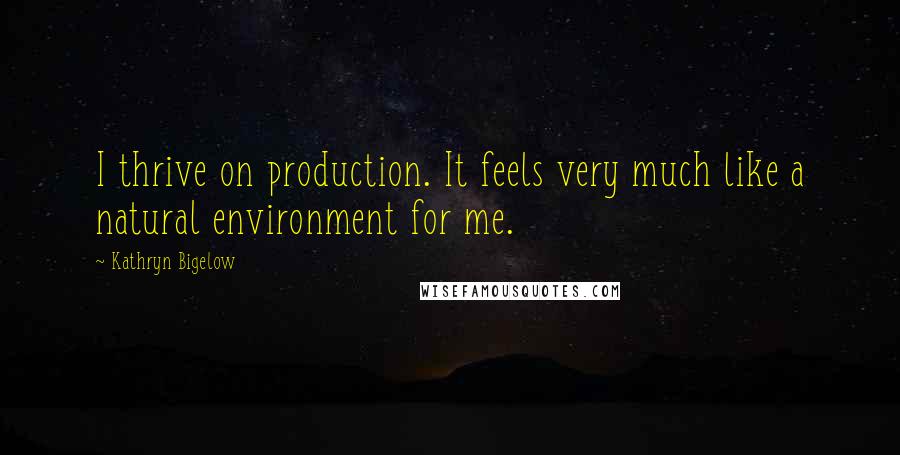 Kathryn Bigelow Quotes: I thrive on production. It feels very much like a natural environment for me.
