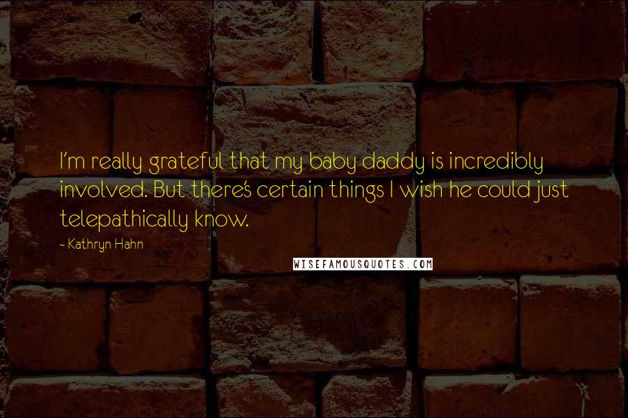 Kathryn Hahn Quotes: I'm really grateful that my baby daddy is incredibly involved. But there's certain things I wish he could just telepathically know.