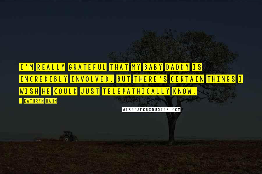 Kathryn Hahn Quotes: I'm really grateful that my baby daddy is incredibly involved. But there's certain things I wish he could just telepathically know.