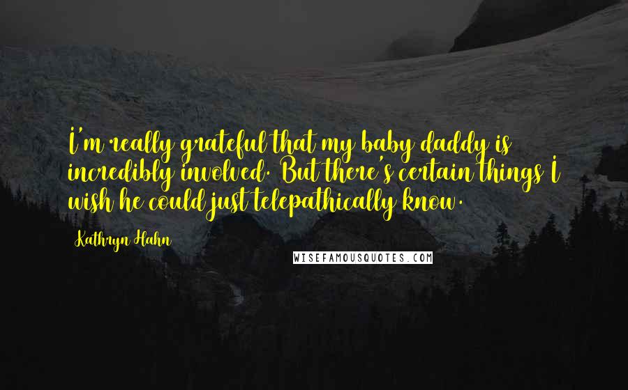 Kathryn Hahn Quotes: I'm really grateful that my baby daddy is incredibly involved. But there's certain things I wish he could just telepathically know.