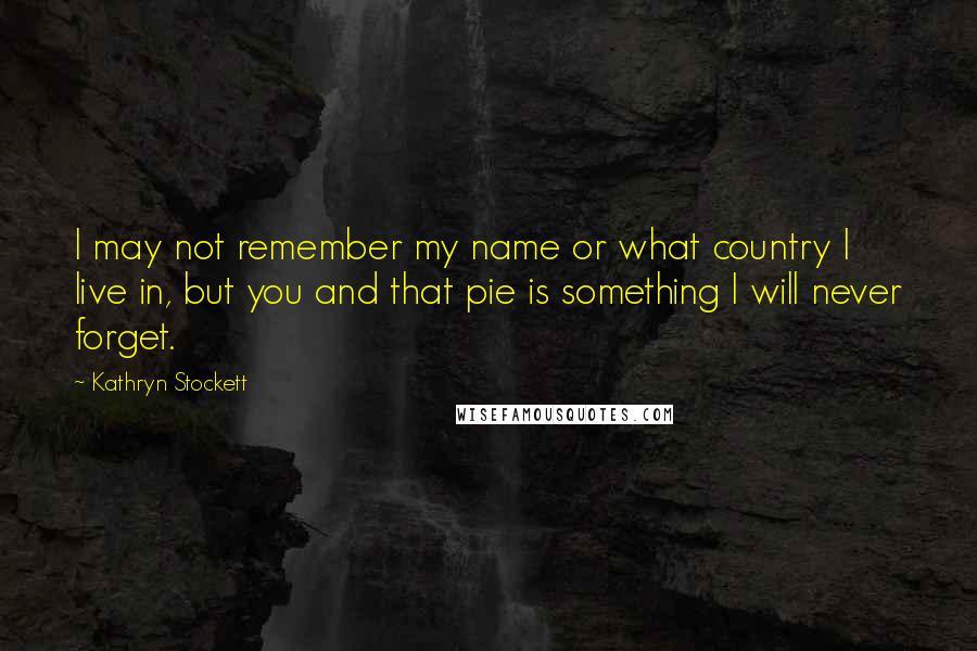 Kathryn Stockett Quotes: I may not remember my name or what country I live in, but you and that pie is something I will never forget.