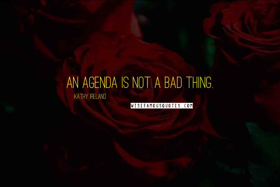 Kathy Ireland Quotes: An agenda is not a bad thing.