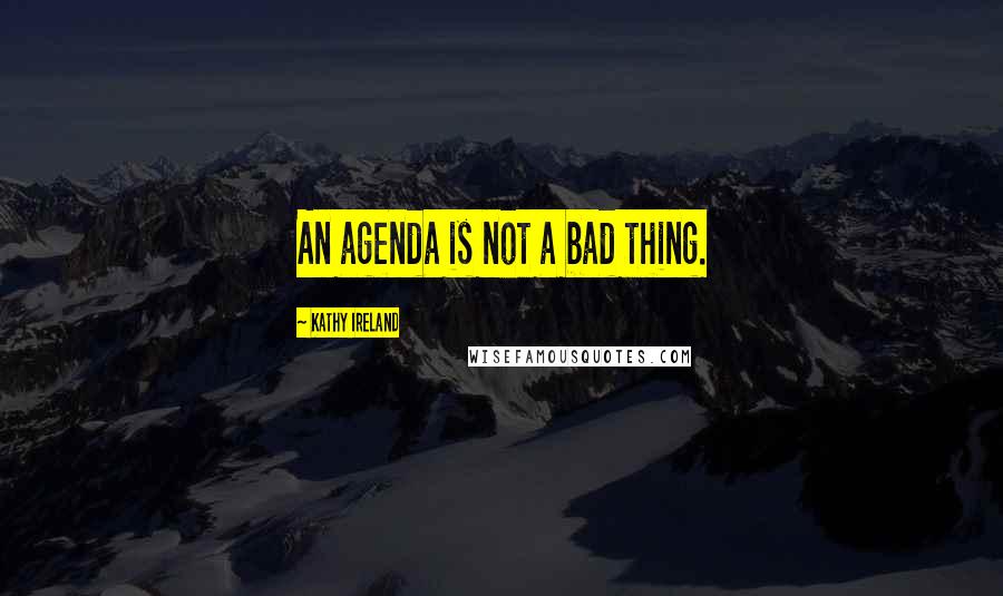 Kathy Ireland Quotes: An agenda is not a bad thing.