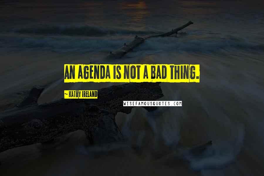 Kathy Ireland Quotes: An agenda is not a bad thing.