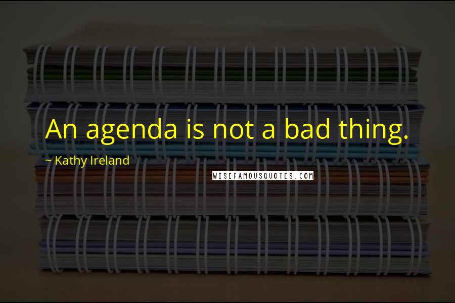 Kathy Ireland Quotes: An agenda is not a bad thing.