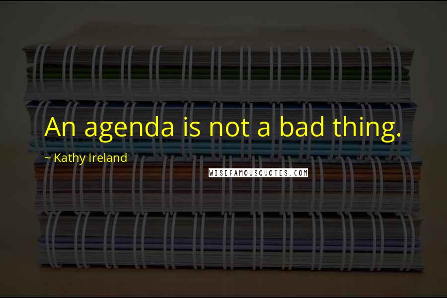 Kathy Ireland Quotes: An agenda is not a bad thing.