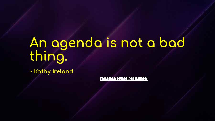 Kathy Ireland Quotes: An agenda is not a bad thing.