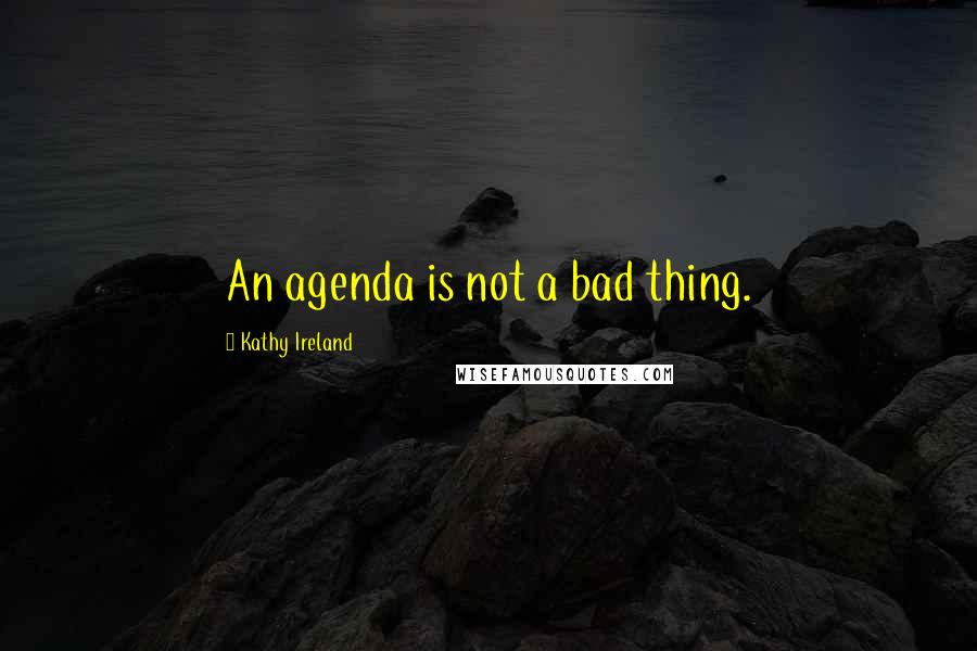 Kathy Ireland Quotes: An agenda is not a bad thing.