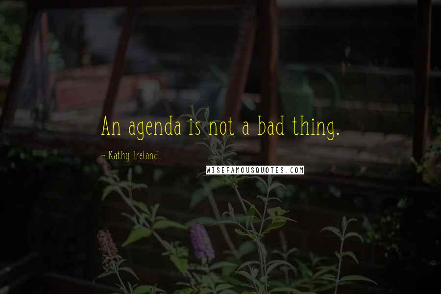 Kathy Ireland Quotes: An agenda is not a bad thing.