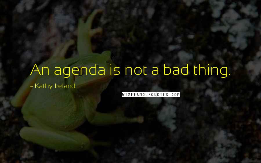 Kathy Ireland Quotes: An agenda is not a bad thing.