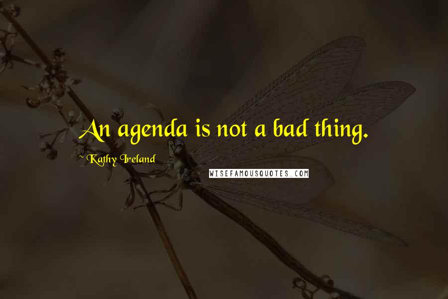 Kathy Ireland Quotes: An agenda is not a bad thing.