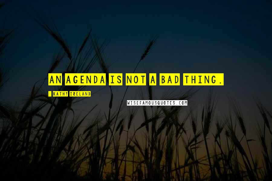 Kathy Ireland Quotes: An agenda is not a bad thing.