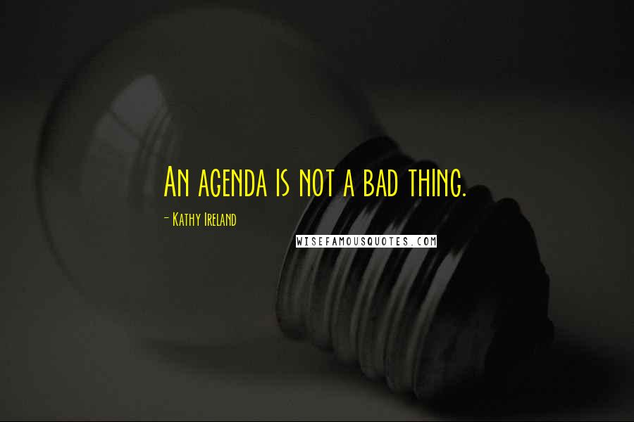 Kathy Ireland Quotes: An agenda is not a bad thing.