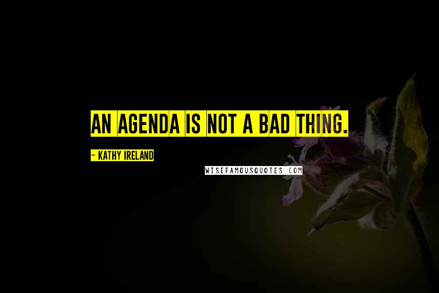 Kathy Ireland Quotes: An agenda is not a bad thing.