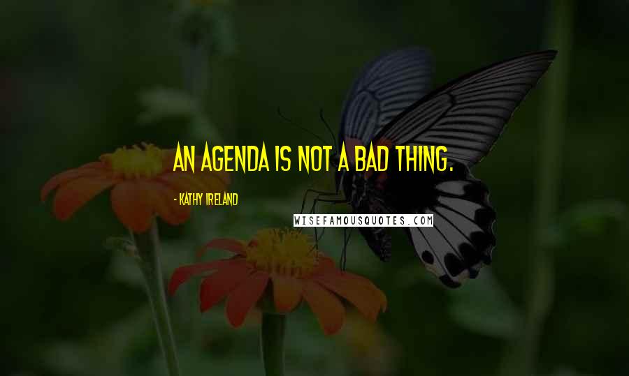 Kathy Ireland Quotes: An agenda is not a bad thing.