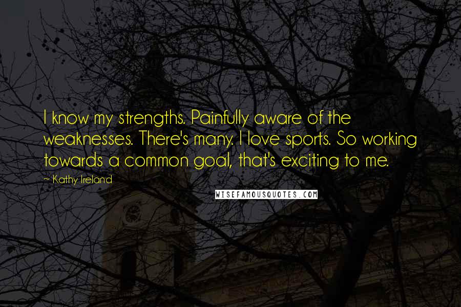 Kathy Ireland Quotes: I know my strengths. Painfully aware of the weaknesses. There's many. I love sports. So working towards a common goal, that's exciting to me.