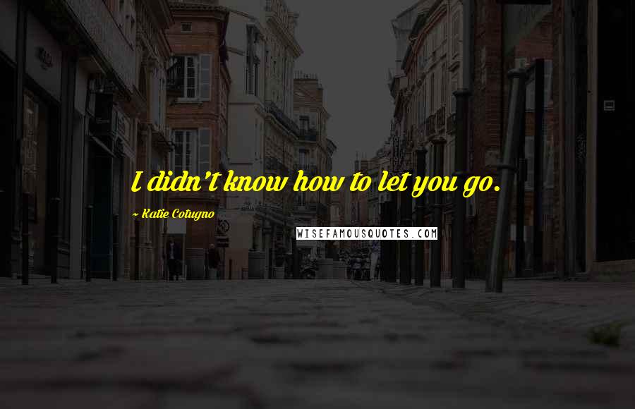 Katie Cotugno Quotes: I didn't know how to let you go.