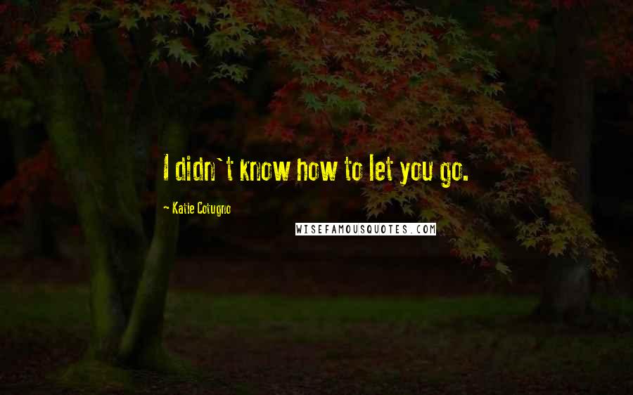 Katie Cotugno Quotes: I didn't know how to let you go.