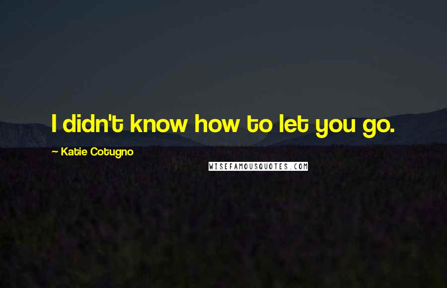 Katie Cotugno Quotes: I didn't know how to let you go.