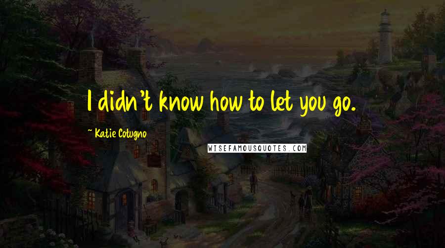 Katie Cotugno Quotes: I didn't know how to let you go.