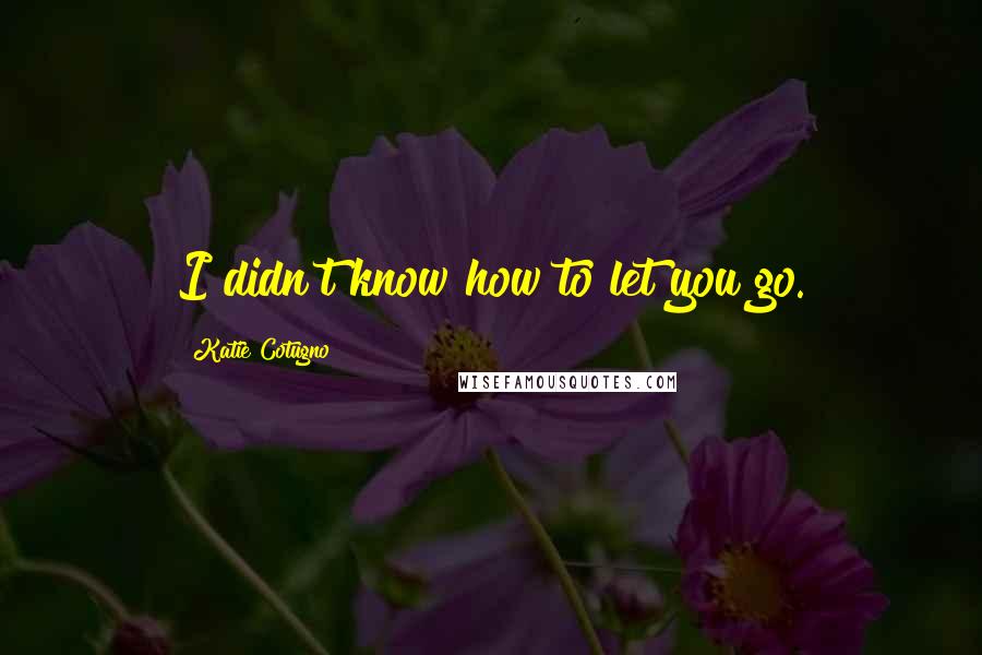 Katie Cotugno Quotes: I didn't know how to let you go.