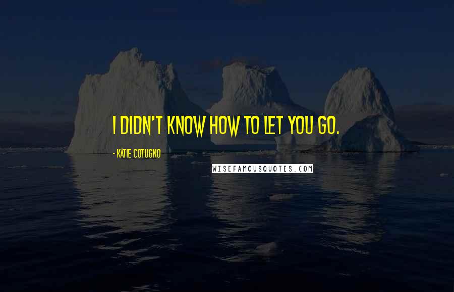 Katie Cotugno Quotes: I didn't know how to let you go.