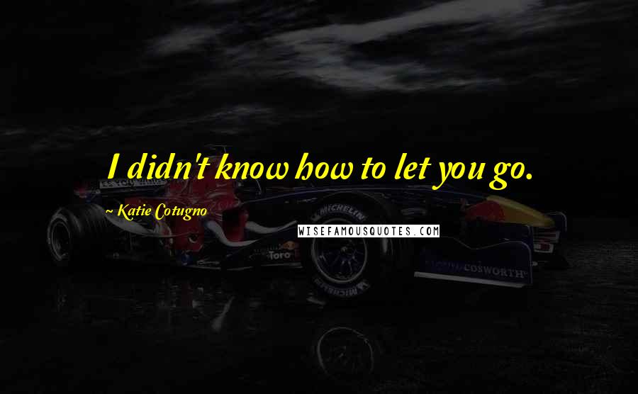 Katie Cotugno Quotes: I didn't know how to let you go.
