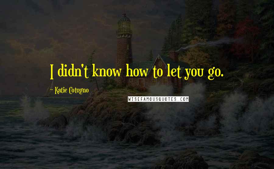 Katie Cotugno Quotes: I didn't know how to let you go.