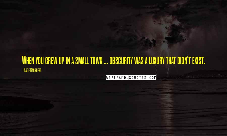 Katie Ganshert Quotes: When you grew up in a small town ... obscurity was a luxury that didn't exist.