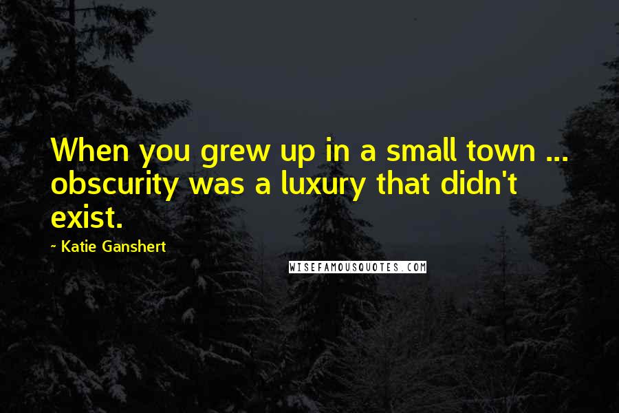 Katie Ganshert Quotes: When you grew up in a small town ... obscurity was a luxury that didn't exist.