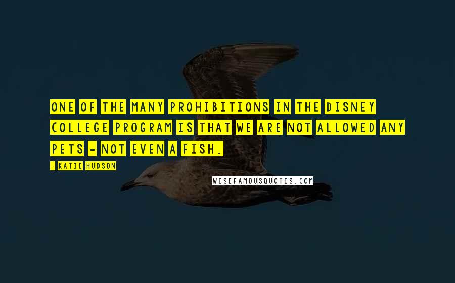 Katie Hudson Quotes: one of the many prohibitions in the Disney College Program is that we are not allowed any pets - not even a fish.