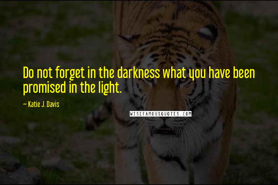 Katie J. Davis Quotes: Do not forget in the darkness what you have been promised in the light.