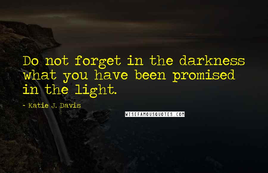 Katie J. Davis Quotes: Do not forget in the darkness what you have been promised in the light.