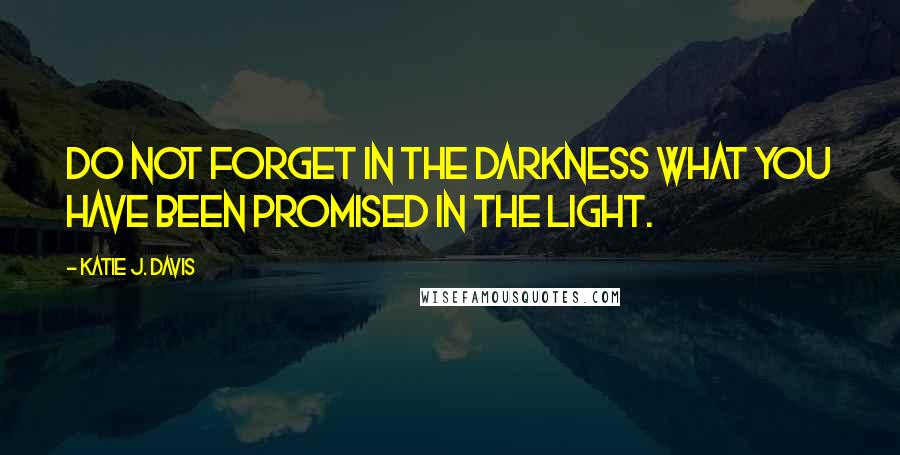 Katie J. Davis Quotes: Do not forget in the darkness what you have been promised in the light.