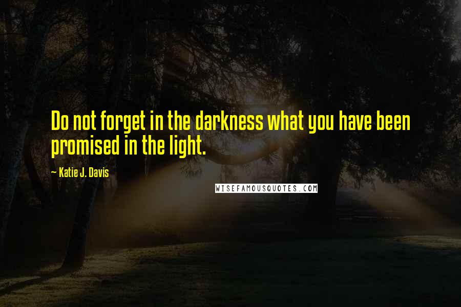 Katie J. Davis Quotes: Do not forget in the darkness what you have been promised in the light.