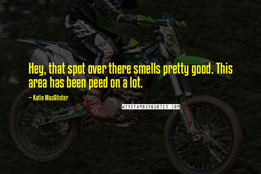Katie MacAlister Quotes: Hey, that spot over there smells pretty good. This area has been peed on a lot.