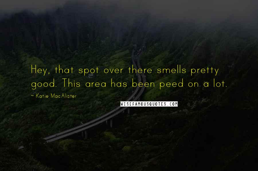 Katie MacAlister Quotes: Hey, that spot over there smells pretty good. This area has been peed on a lot.