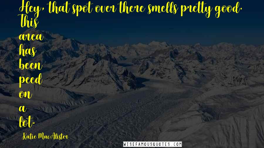 Katie MacAlister Quotes: Hey, that spot over there smells pretty good. This area has been peed on a lot.