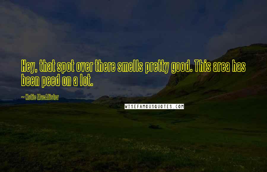Katie MacAlister Quotes: Hey, that spot over there smells pretty good. This area has been peed on a lot.