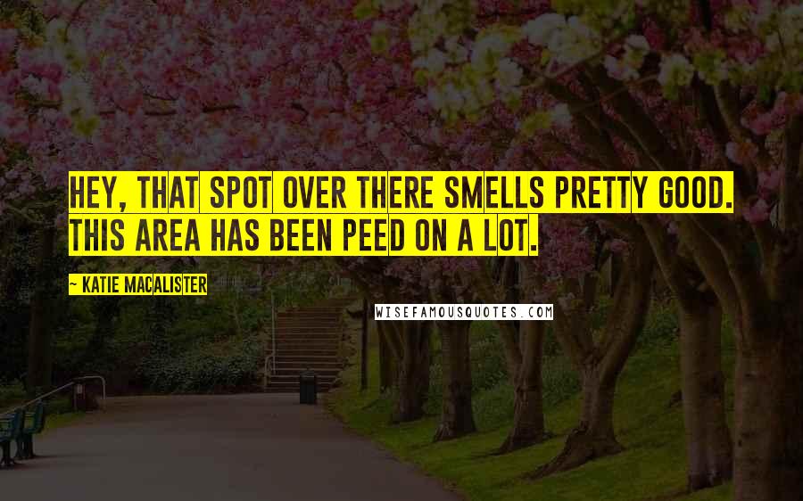 Katie MacAlister Quotes: Hey, that spot over there smells pretty good. This area has been peed on a lot.