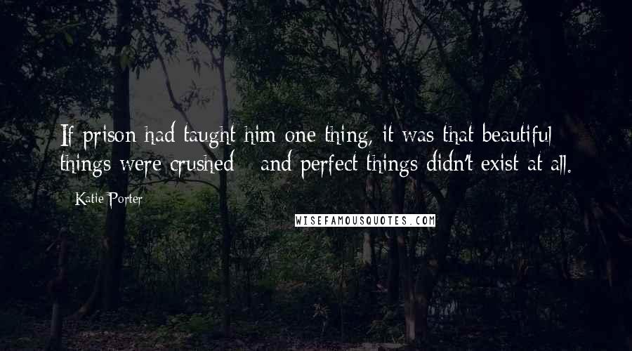 Katie Porter Quotes: If prison had taught him one thing, it was that beautiful things were crushed - and perfect things didn't exist at all.