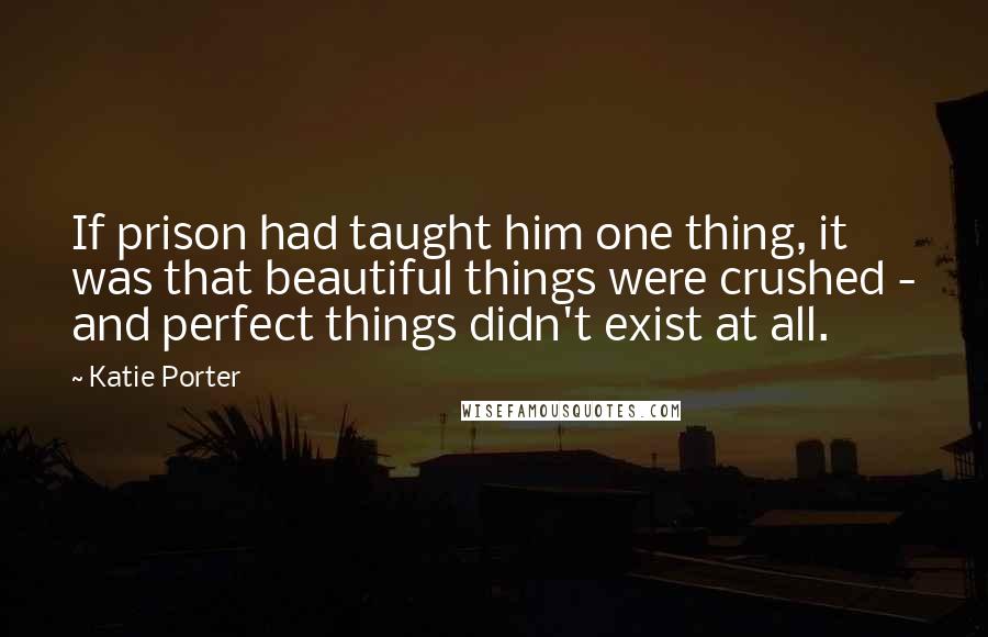 Katie Porter Quotes: If prison had taught him one thing, it was that beautiful things were crushed - and perfect things didn't exist at all.