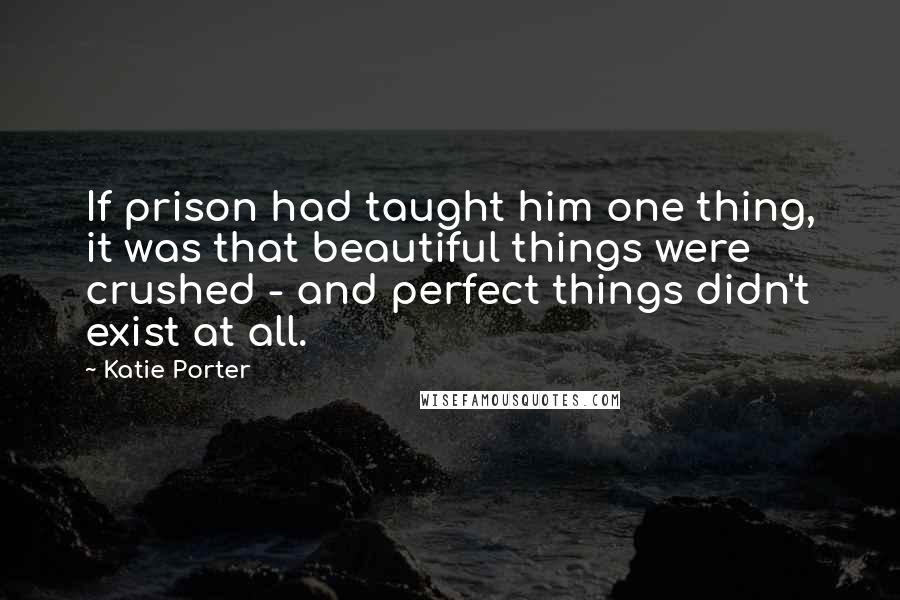 Katie Porter Quotes: If prison had taught him one thing, it was that beautiful things were crushed - and perfect things didn't exist at all.